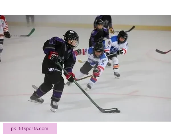 冰球赛事精准预测：引领你掌握胜负大势