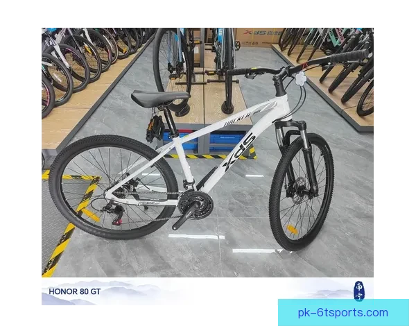 山地车入门指南：新手如何选择、调整和保养山地车