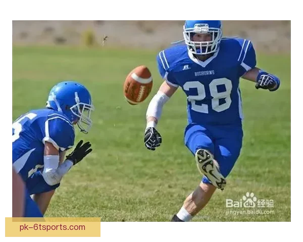 橄榄球高级技巧与实战训练详解