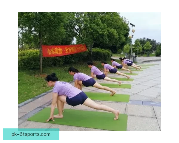 瑜伽大奖赛:巅峰对决,身心灵之旅 瑜伽大奖赛:巅峰对决,身心灵之旅