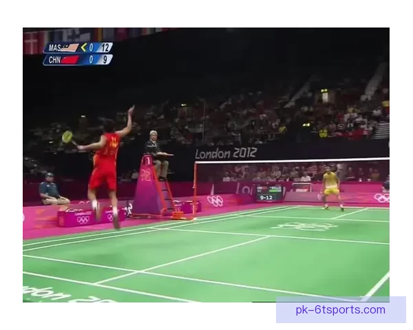 羽毛球巅峰对决：争霸之路